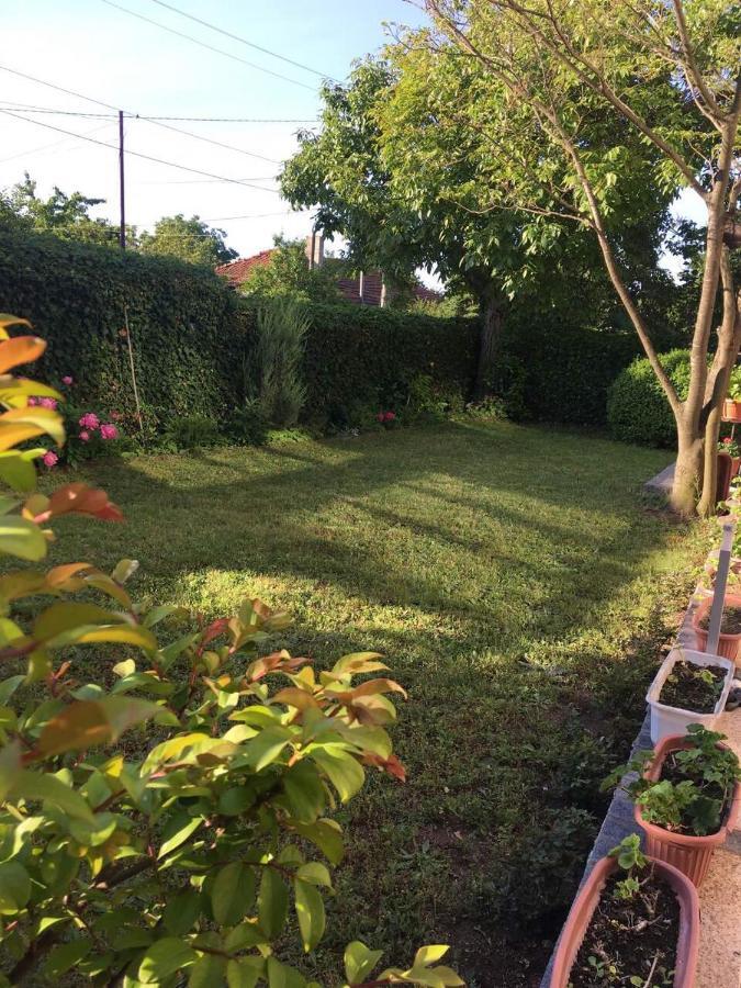 Byala Residence Apartments מראה חיצוני תמונה