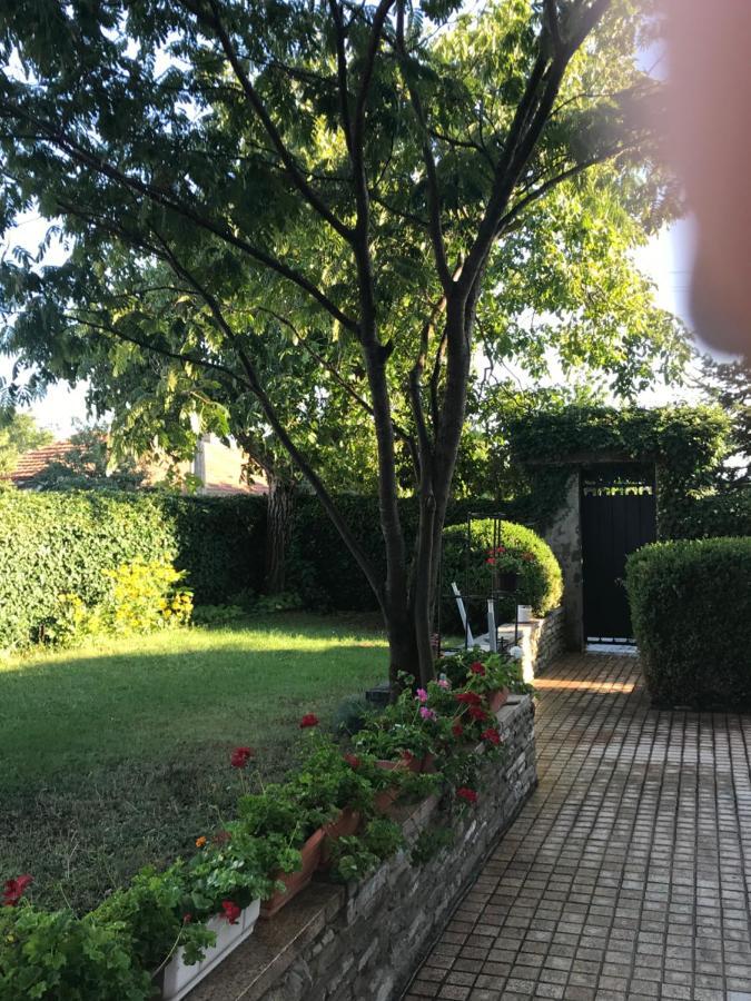 Byala Residence Apartments מראה חיצוני תמונה